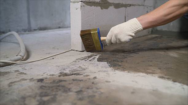 24/7 Emergency Exterior Waterproofing experts in Bitely, MI